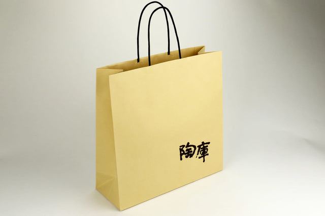 carry bag